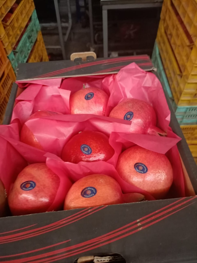 Venderé una granada de Egipto, una caja de 5 kg, unas 20 toneladas, muy dulce, premium, recolectada a mano, recogida en Gdańsk o Gdynia, precio $ 1 por 1 kg