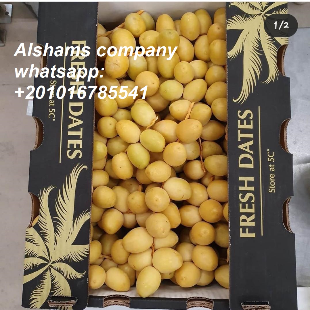Empresa Alshams para importación y exportación general en EGIPTO #Fresh_dates ● Podemos entregar su solicitud para cualquier país ● Grado A ● para pedidos