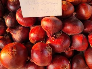 Somos ALshams para importación y exportación en general. Podemos