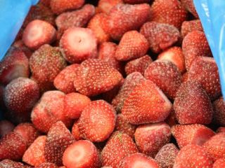 Fresa congelada de Egipto 1,06 euro / kg Recogida