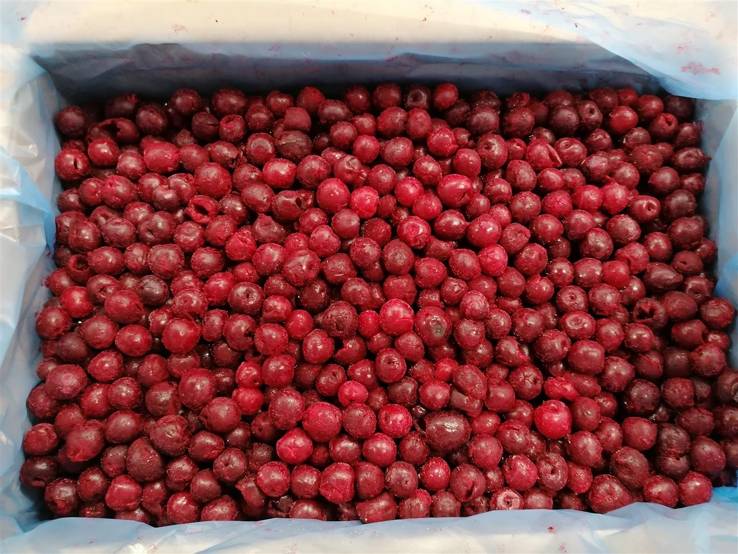 Cereza deshuesada, congelada Recogida en Bolimów (Polonia) o entrega por una tarifa