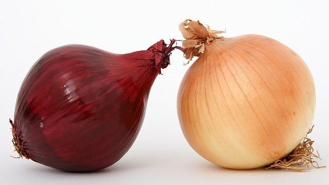 Cebollas rojas y blancas de Grecia Thessalia producidas por agricultores locales