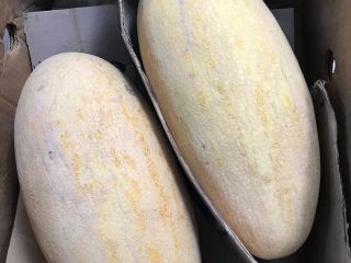 Buenos días, tengo a la venta Melon Tarpeda país