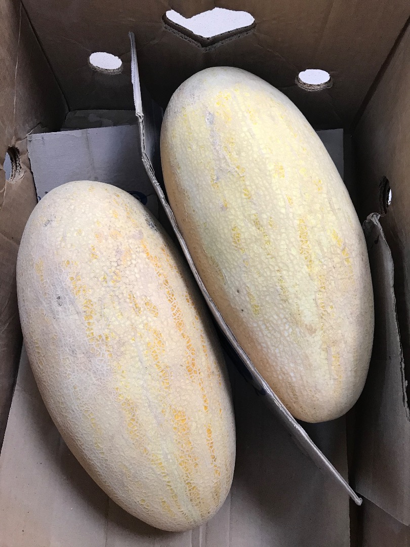 Buenos días, tengo a la venta Melon Tarpeda país de origen Uzbekistán buen precio de alguna manera super muy dulce