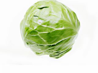 Vendo gran cantidad de repollo después de 5 hectáreas,