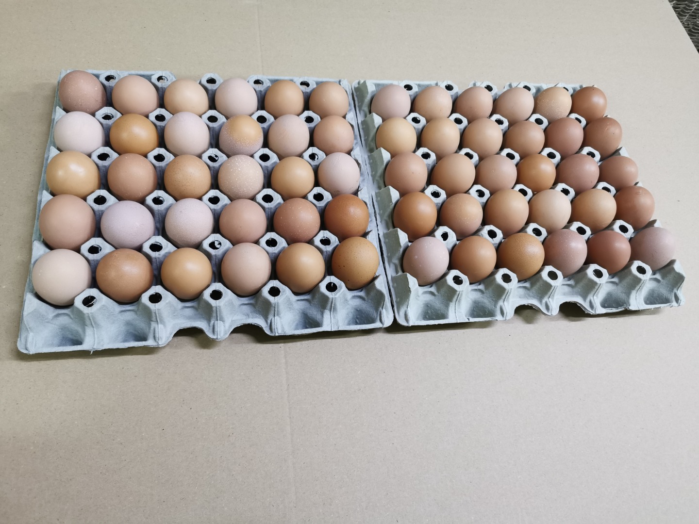 Hola, tengo a la venta huevos de gallinas jóvenes camperas, categoría de peso S