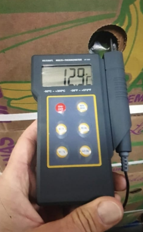 Venderé plátanos verdes PREMIUM de Ecuador