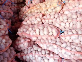 Patatas Carrera 55+ a la venta en grandes cantidades.
