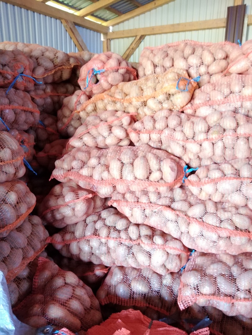 Patatas Carrera 55+ a la venta en grandes cantidades