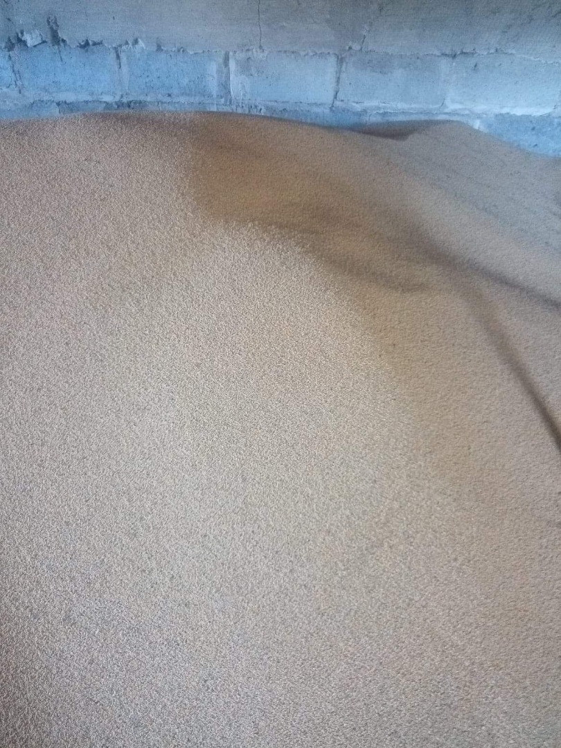 Venderé unas 6 toneladas de mostaza