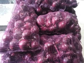 Remolacha roja boro, calibre según necesidades del cliente