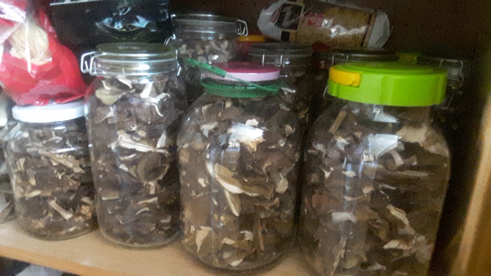 Tengo setas secas a la venta: boletes de la cosecha 2020 Posibilidad de vender solo boletus o una mezcla de boletus con cosaco, también cosaco rojo o boletus
