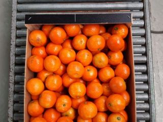 Mandarinas de productores españoles, cal. 3/4/5, precio desde 1