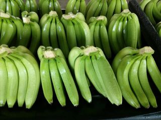 Exportamos según su necesidad el banano verde para alimentación