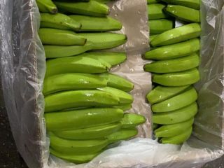 CAVENDISH VALERY-BANANA, 80.000 kg, Viena