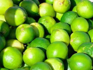 Nuestro negocio es la exportación de Fruta Fresca, especialmente
