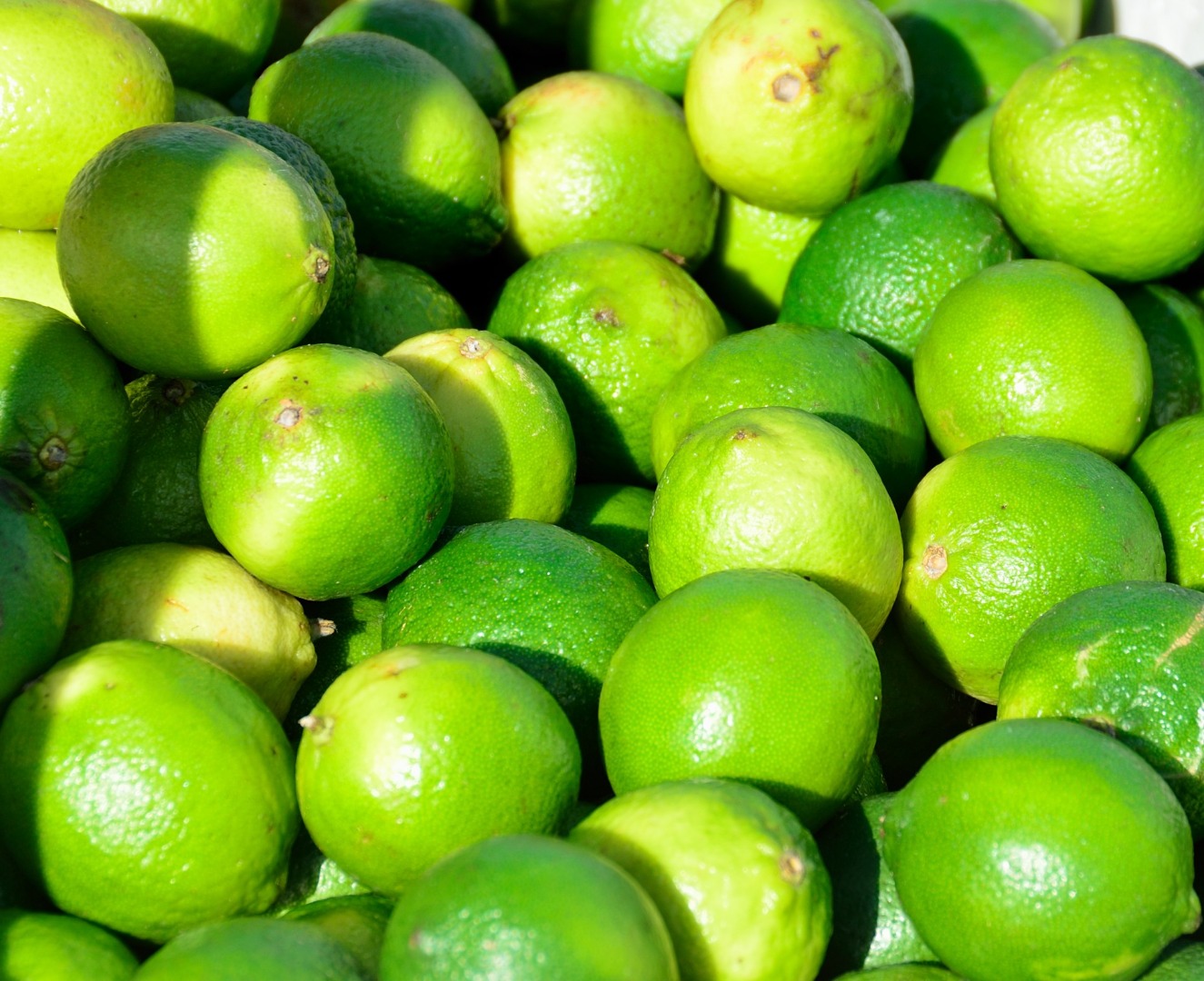 Nuestro negocio es la exportación de Fruta Fresca, especialmente Lima / Limón Fresco en alta calidad y precio económico que es muy competitivo en el mercado