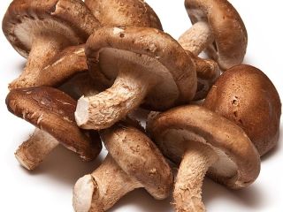 Morel tiene una nutrición rica, de acuerdo con la