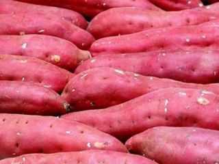 Nombre del producto Batata fresca Color de la fruta