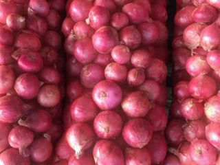 Exportamos cebollas grandes de calidad en todo el mundo