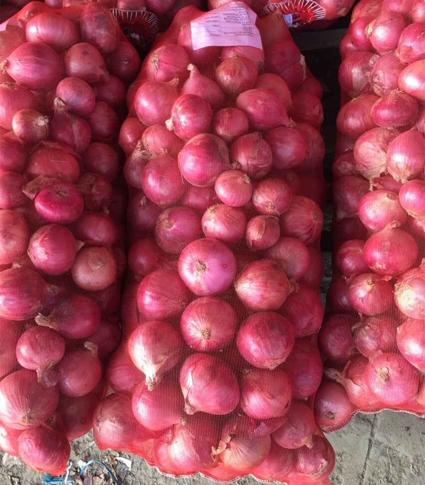 Exportamos cebollas grandes de calidad en todo el mundo y tenemos demanda de EE