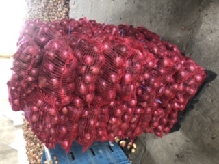 Cebolla morada envasada 5 kg cal 4.5+