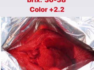 OFREZO LA ENTREGA CONCENTRADO TOMATE BRIX 36-38 de Irán.