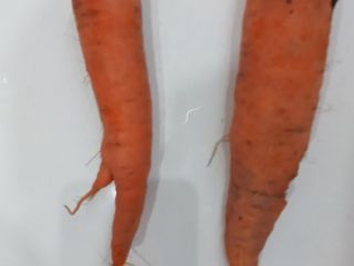 Venderé una zanahoria.