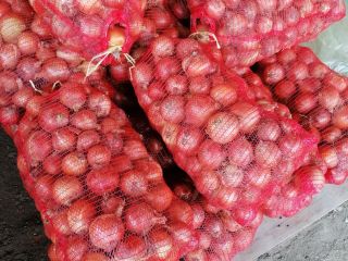 Vendo cebolla de 15t, el precio se discute por