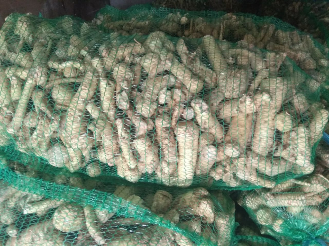 La empresa ucraniana vende rábano picante ecológico