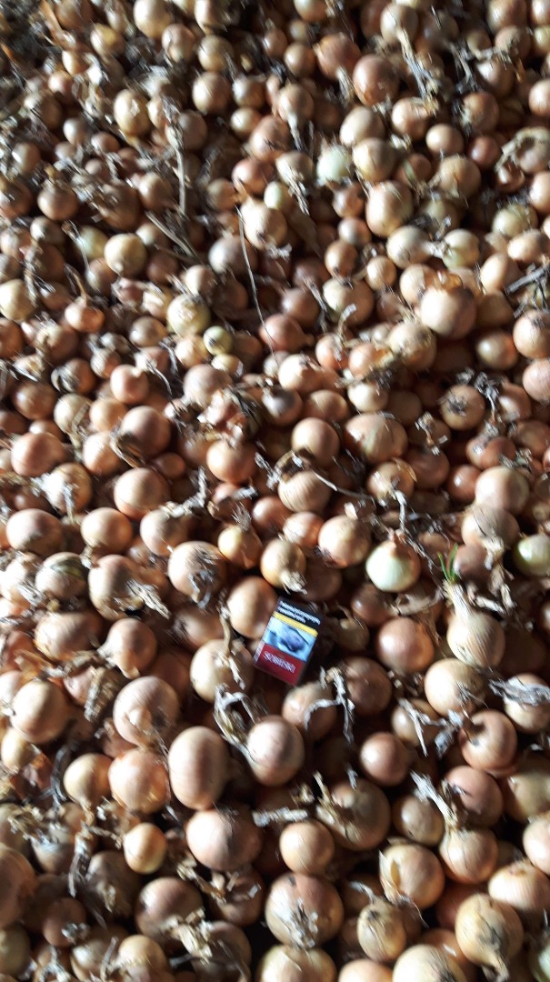 Hola, vendo cebolla amarilla, suelta o empacada en saco de 15 kg, calibre 4+