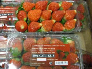 Nos gusta ofrecerle que disfrute de nuestra Fresa Egipcia