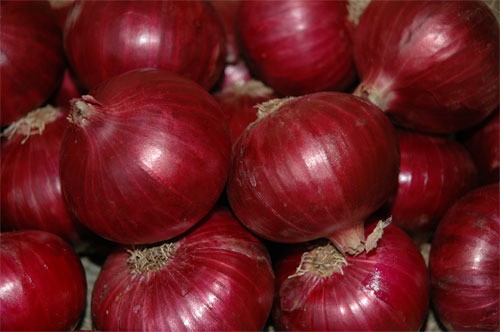 Hola, vendo cebollas amarillas, sueltas o empacadas en bolsa de 15 kg 10+