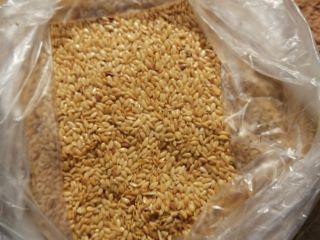 Lino dorado, pureza 98%, humedad 9%, impurezas / aditivos