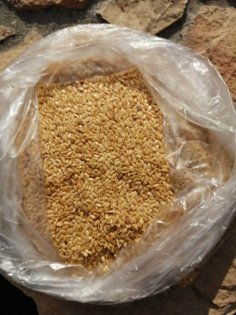 Lino dorado, pureza 98%, humedad 9%, impurezas / aditivos máx