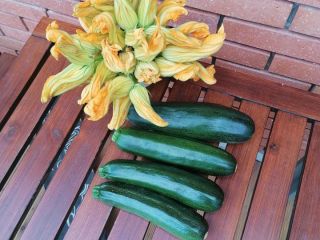 Venderé calabacines, puedo clasificar unos 500 kg por tamaño