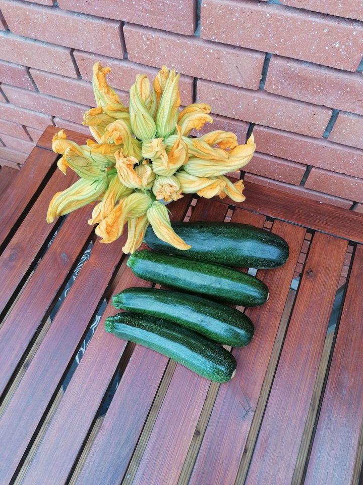 Venderé calabacines, puedo clasificar unos 500 kg por tamaño y empacarlos en la red