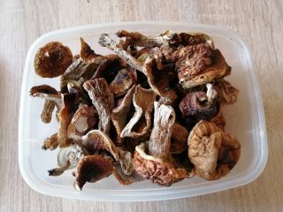 Venderé hongos porcini secos y suero de leche. Cosecha