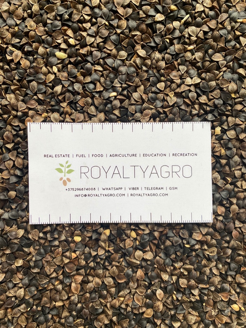 LLC "Royalti Agro" ofrece trigo sarraceno del territorio de Altai, en bolsas de 50 kg, sin herbicidas, desde un almacén en Smolensk