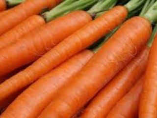Nombre del producto Tipo de zanahoria fresca Color fresco