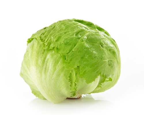Lechuga iceberg envasada en 10 u 8 piezas en una caja de cartón, según el tamaño y el pedido del cliente