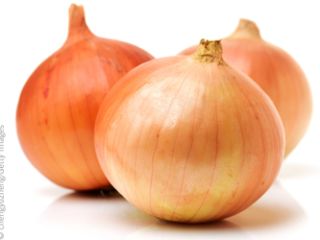 Cosecha fresca de cebolla roja y amarilla disponible para
