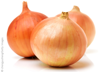 Cosecha fresca de cebolla roja y amarilla disponible para exportación en Dinamarca