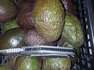 El precio de 500 kg de aguacate depende de