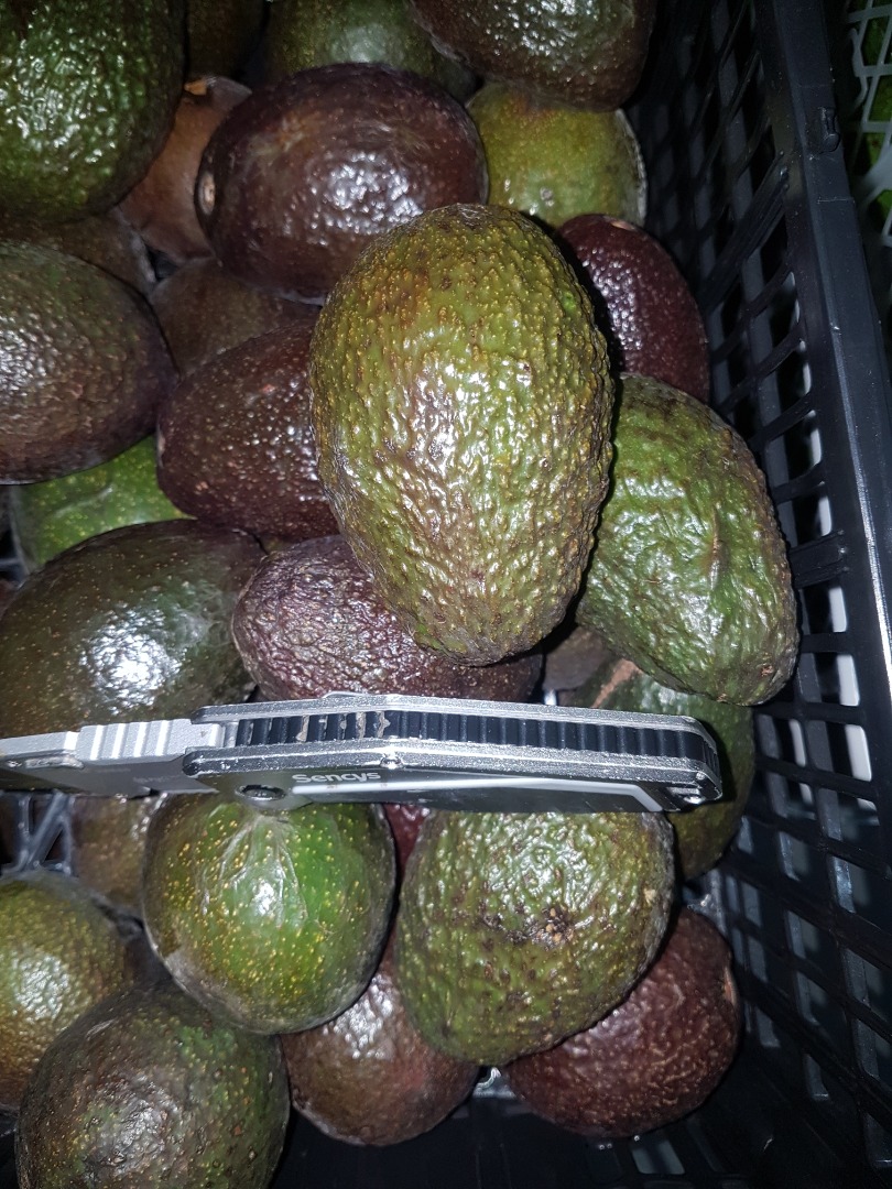 El precio de 500 kg de aguacate depende de la situación del mercado holandés y de la cantidad Más información por teléfono Tenemos una amplia gama Importamos