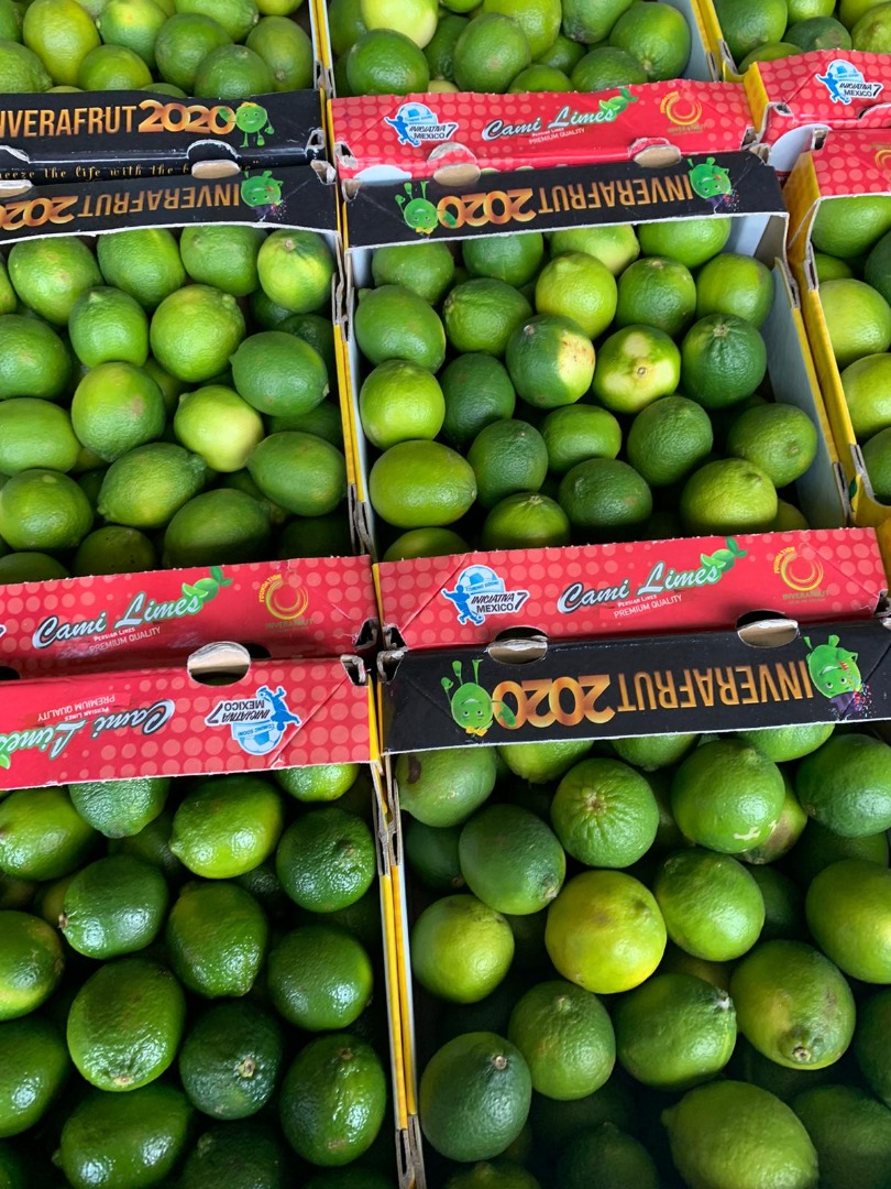 El precio de 4 kg de lima depende de la situación del mercado holandés y de la cantidad Más información por teléfono Tenemos una amplia gama Importamos