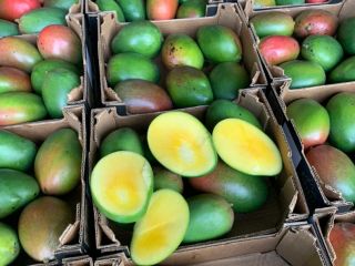 Mango 4kg 28 PLN El precio de la caja