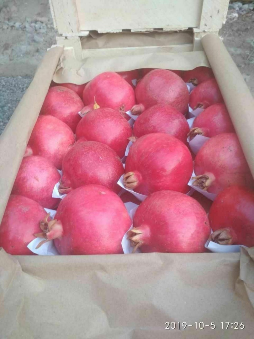 Granate seleccionado de alta calidad