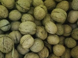 Venderé 3-4 bolsas grandes de nueces. Los niños se