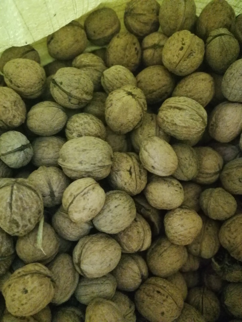 Venderé 3-4 bolsas grandes de nueces